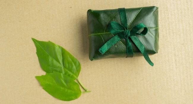 1201 - Une idée de cadeau de Noël éco responsable sans chercher loin _img