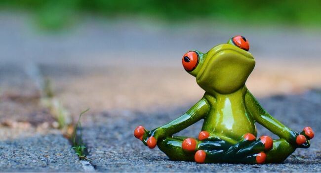 Grenouille zen face à ses factures d'électricité et de gaz