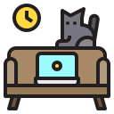 appartement étudiant avec un chat