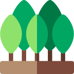 emoji forêt - symbole transition énergétique